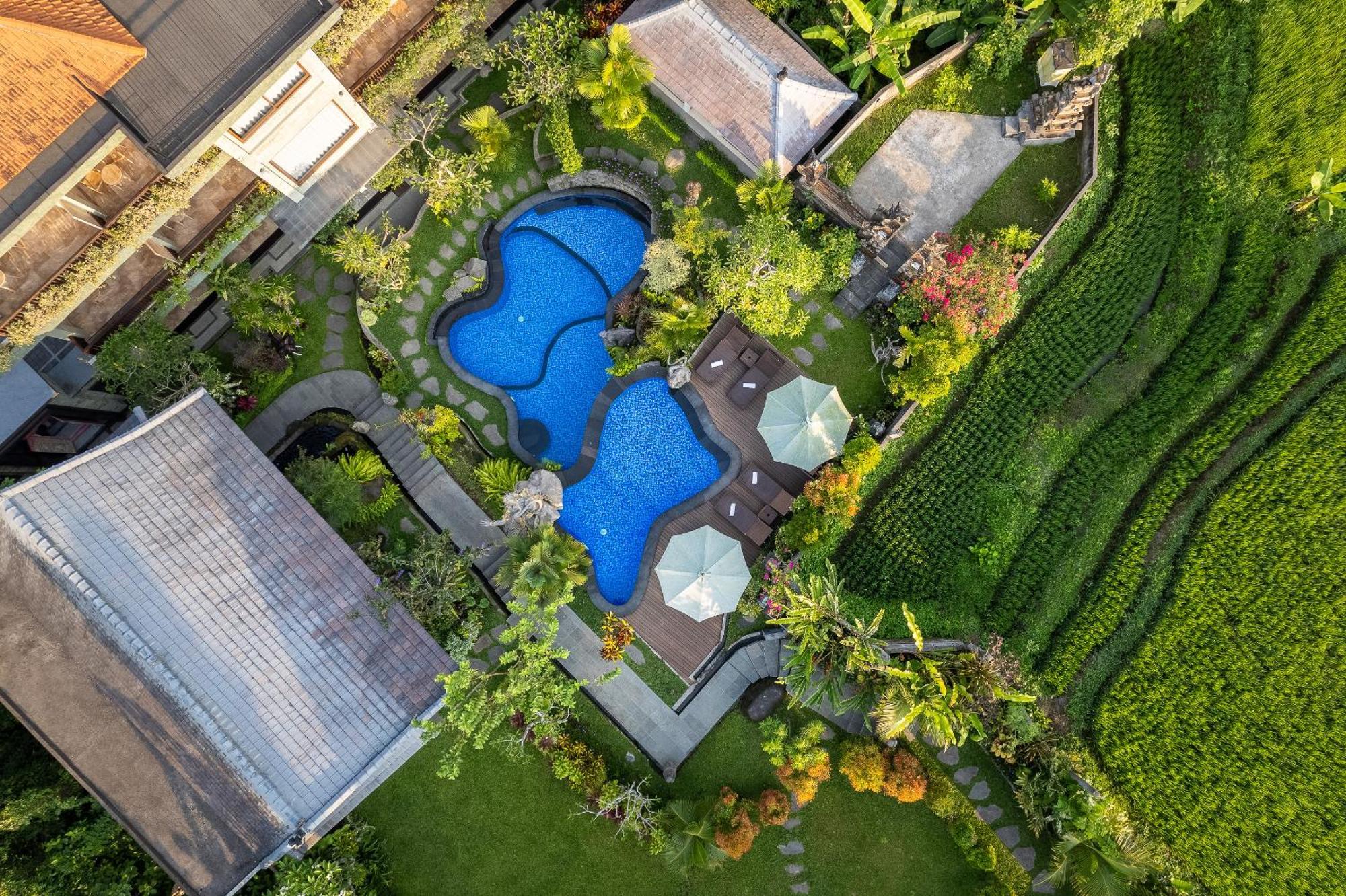 Gynandha Ubud Cottage Εξωτερικό φωτογραφία