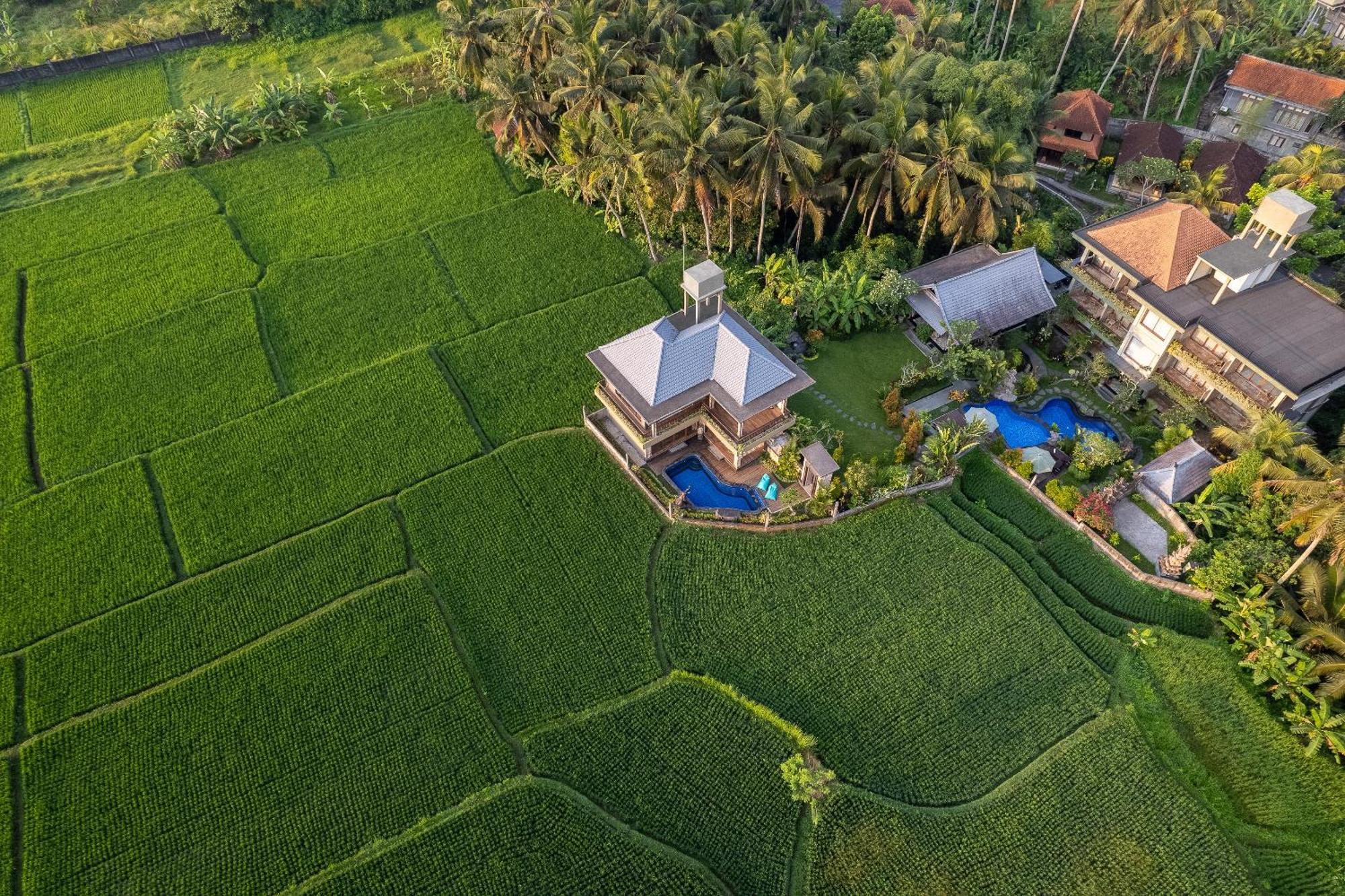 Gynandha Ubud Cottage Εξωτερικό φωτογραφία