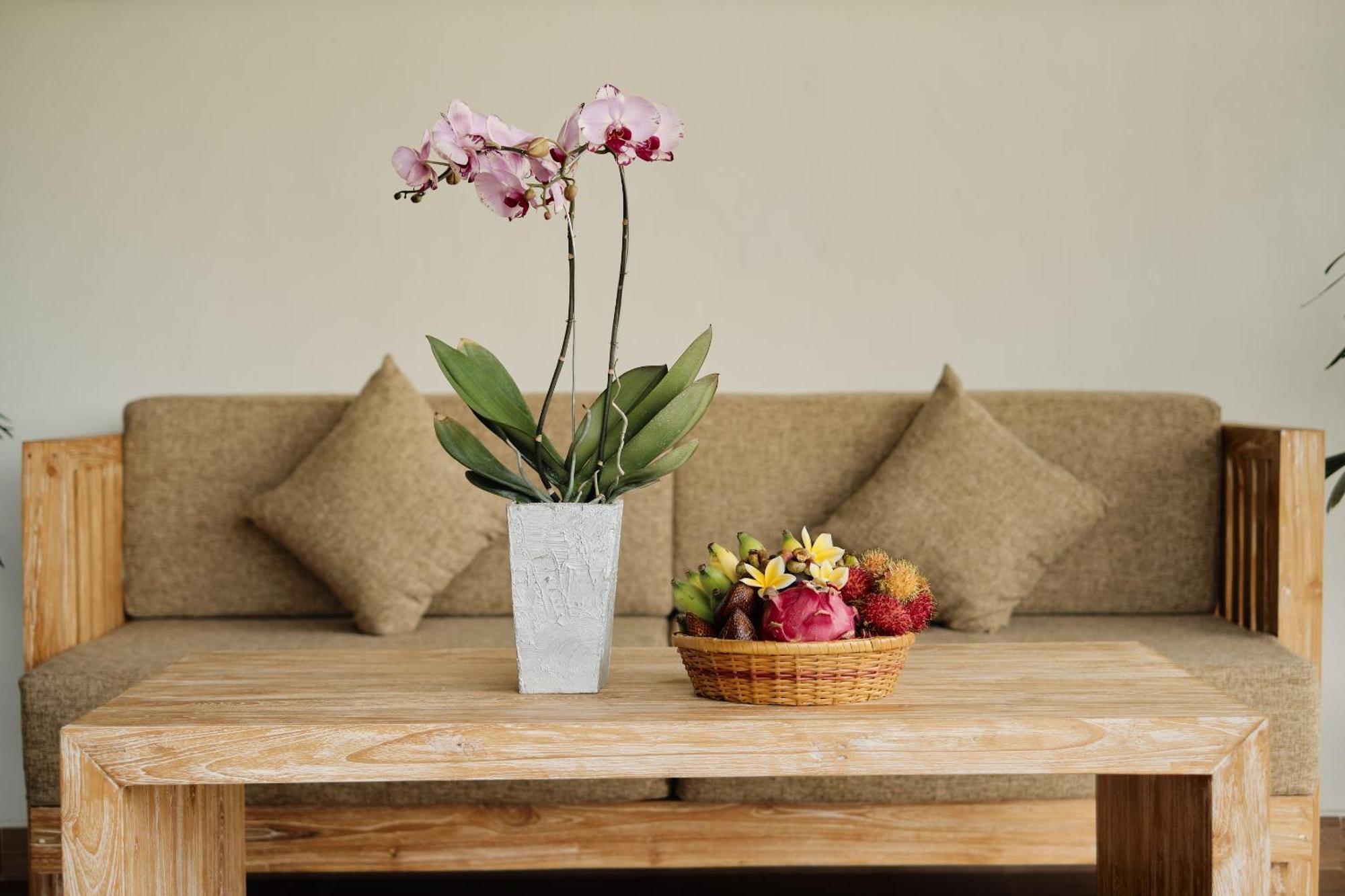Gynandha Ubud Cottage Εξωτερικό φωτογραφία