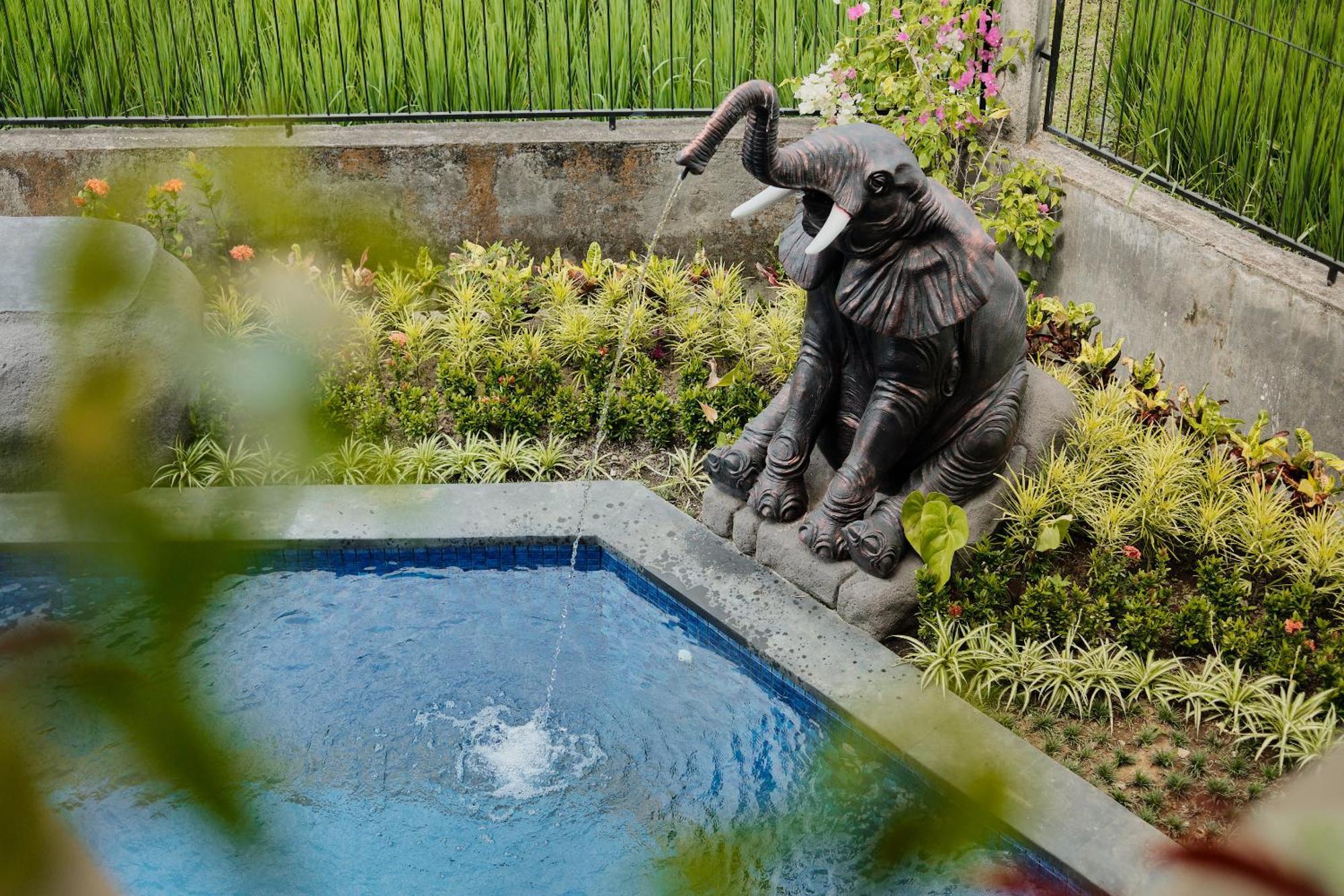Gynandha Ubud Cottage Εξωτερικό φωτογραφία