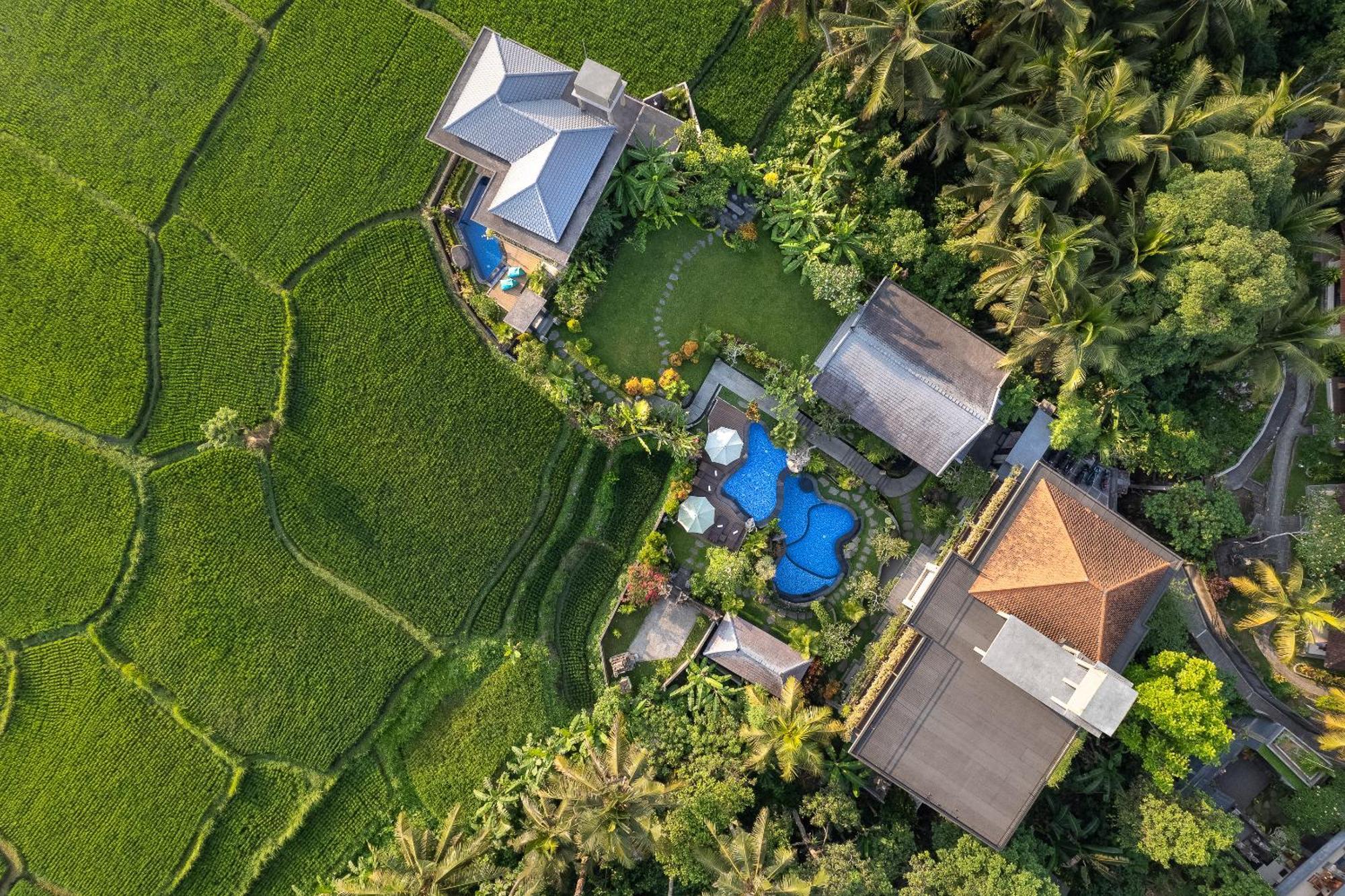 Gynandha Ubud Cottage Εξωτερικό φωτογραφία